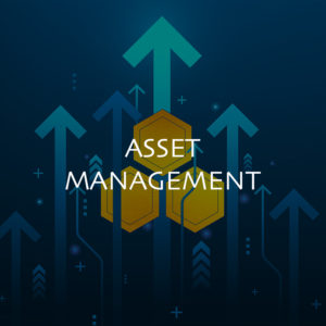 Image-Asset Management