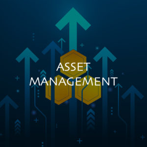 Image-Asset Management